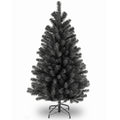 4.5 Ft. North Valley Black Spruce Tree