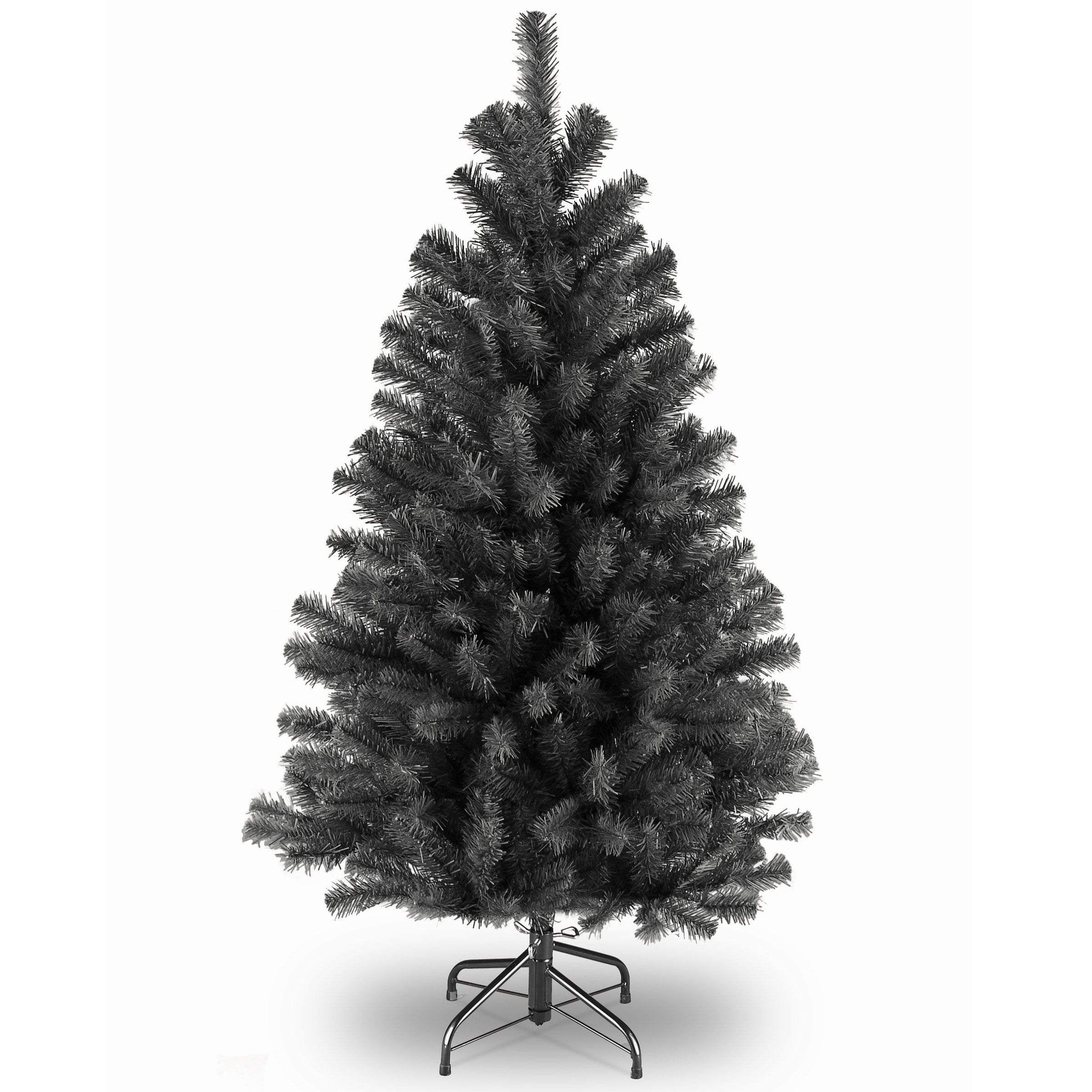 4.5 Ft. North Valley Black Spruce Tree