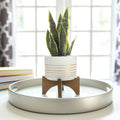 4.75 Gold Line Ceramic Planter On Wood Stand