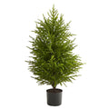 40 Norfolk Island Pine Natural Look Tree Green
