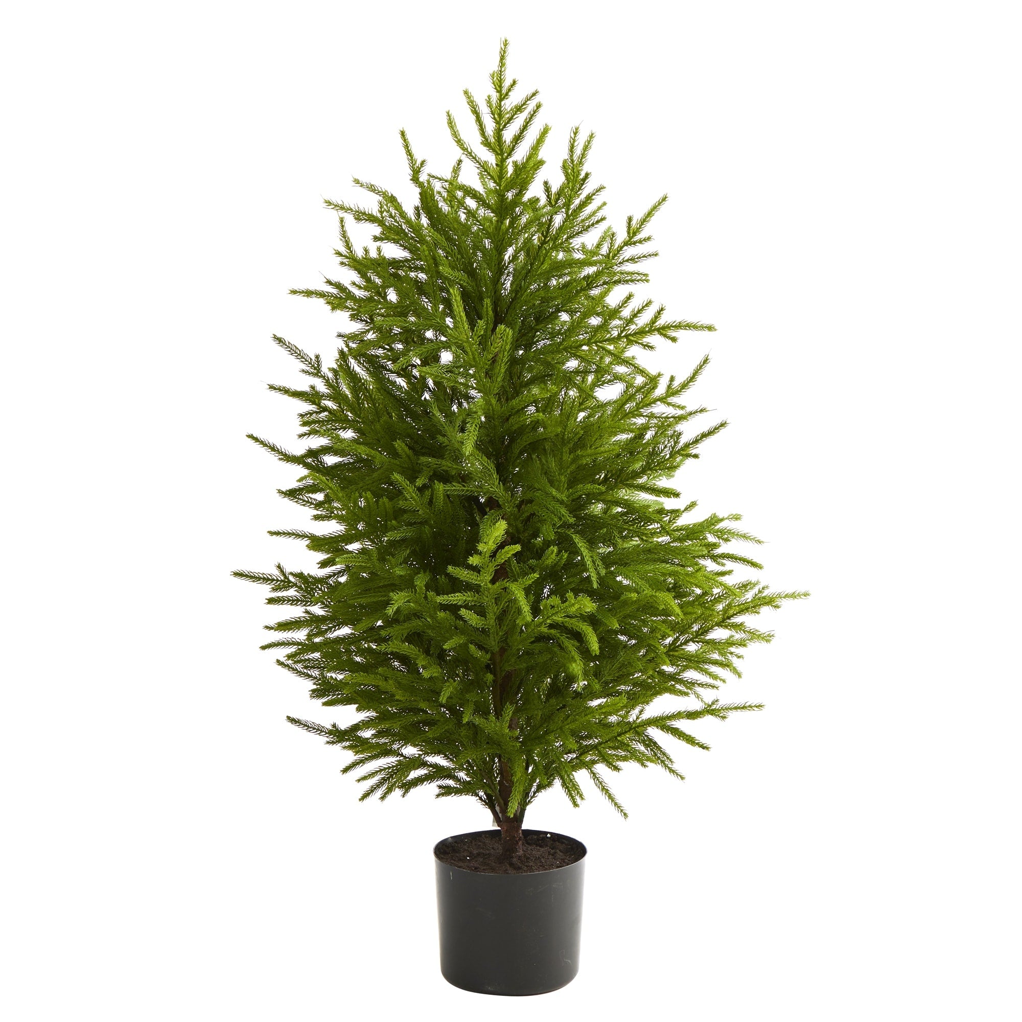 40 Norfolk Island Pine Natural Look Tree Green