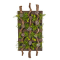 41 X 19 Mixed Succulent Artificial Living Wall