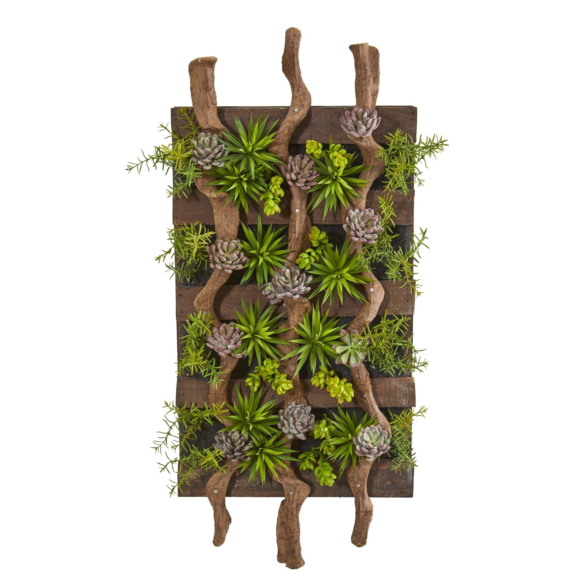 41 X 19 Mixed Succulent Artificial Living Wall