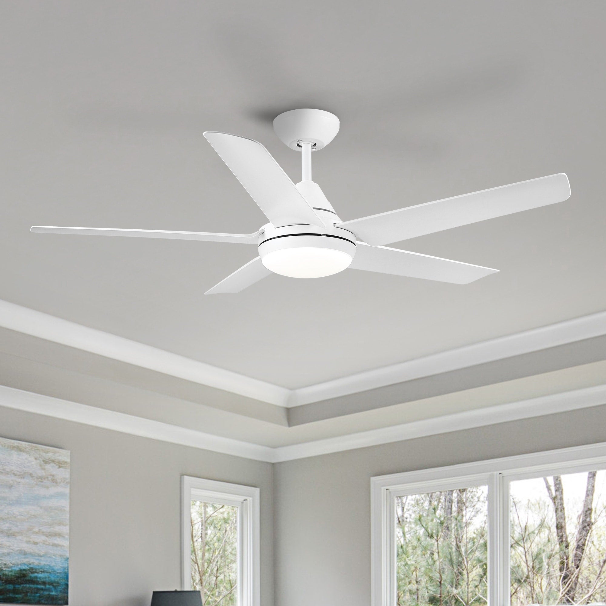 48 In Intergrated Led Ceiling Fan With White Abs Blade