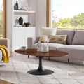 Lippa 48 Oval Shaped Walnut Coffee Table N A