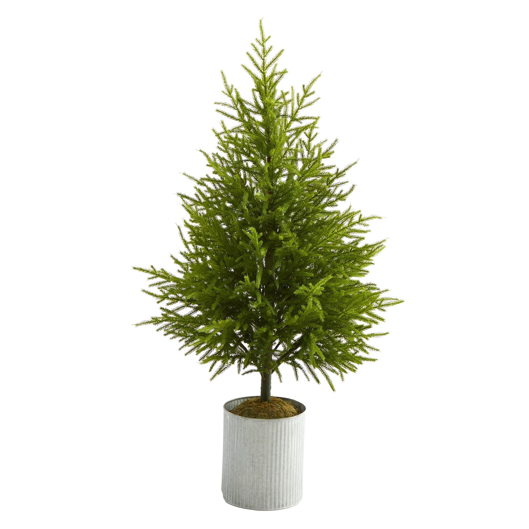 49 Norfolk Island Pine Natural Look Tree Green