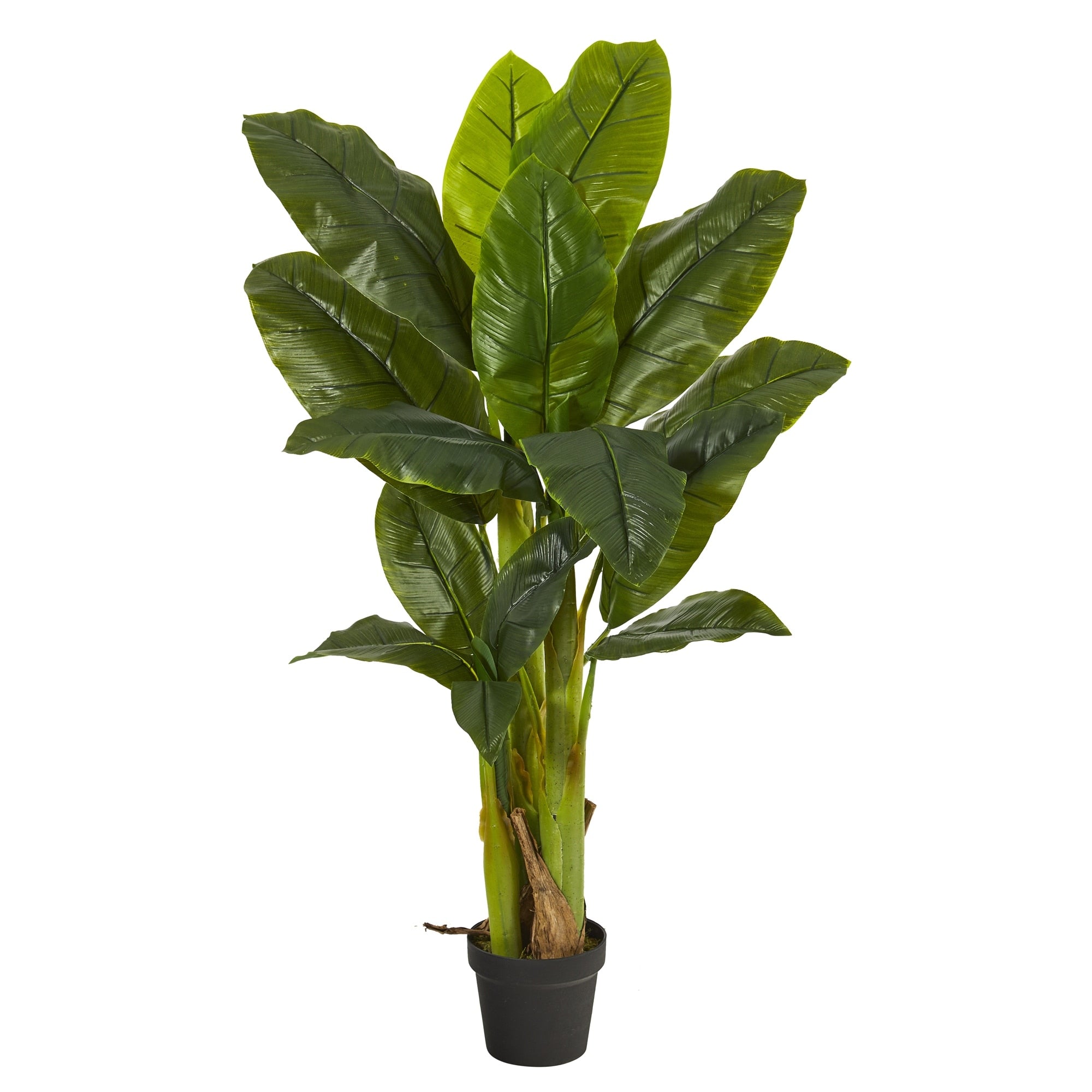 4 Triple Stalk Banana Tree Real Touch
