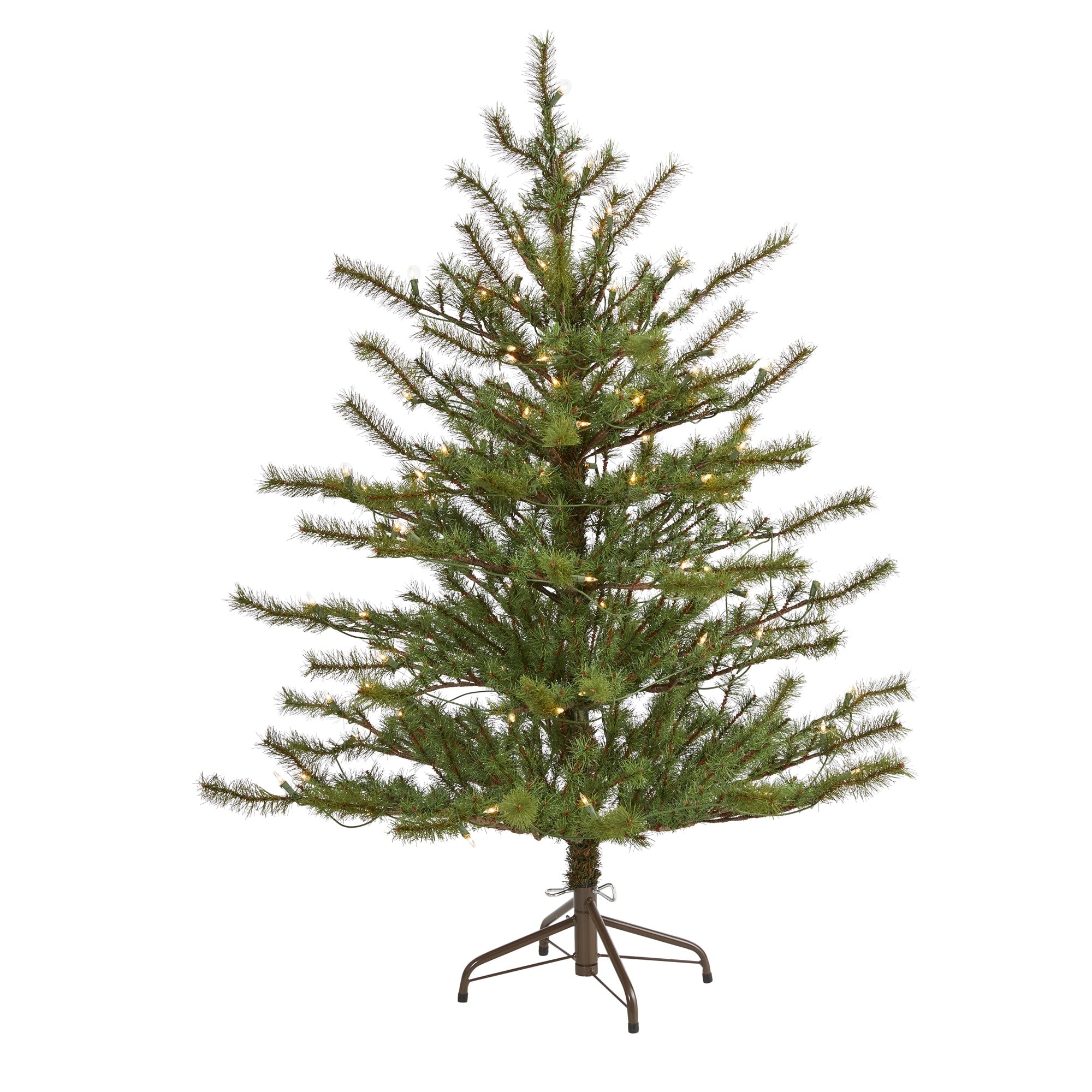 4 Vancouver Mountain Pine Christmas Tree With 100 Clear Light Green