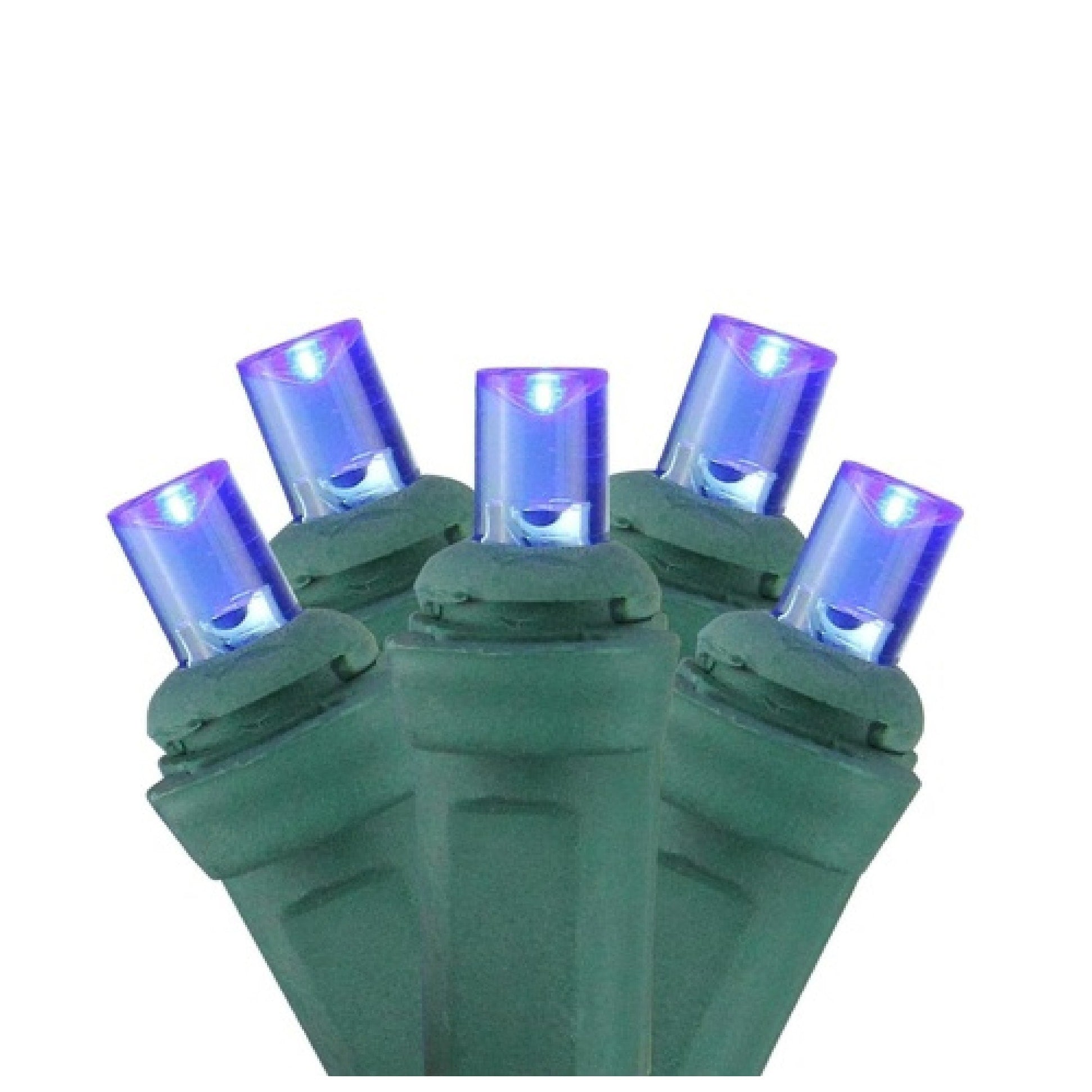 4 X 6 Blue Led Wide Angle Christmas Net Lights Green Wire