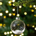 4Ct Clear And Frosted Winter Tree Scene Glass Christmas Ornament Ball Set 3.25 80Mm N A