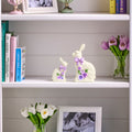 5 7.5 Resin Chocolate Bunny With Pansy Set Of 2