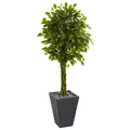 5 Braided Ficus Artificial Tree In Slate Planter Uv Resistant Indoor Outdoor