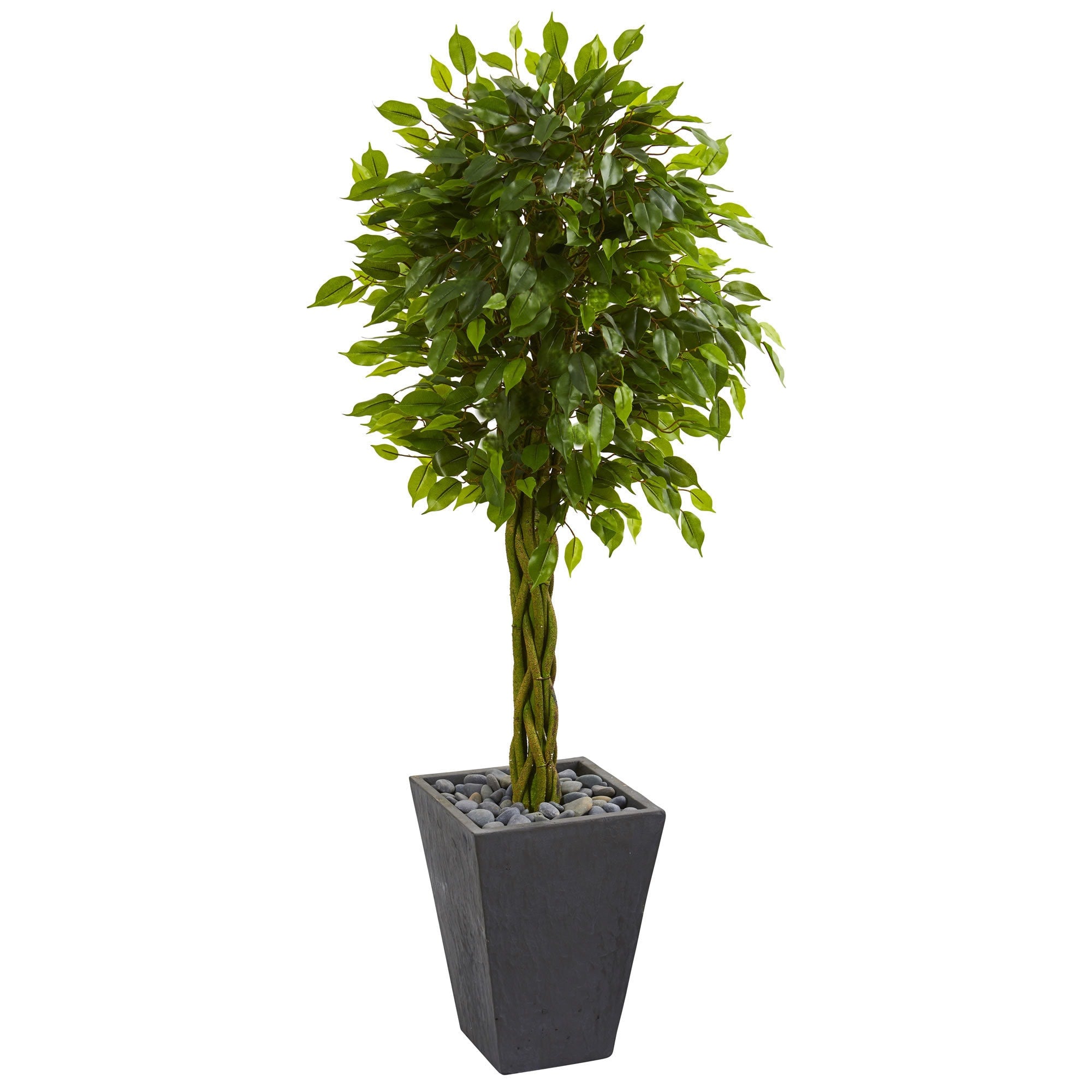5 Braided Ficus Artificial Tree In Slate Planter Uv Resistant Indoor Outdoor