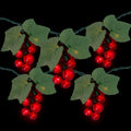 Red Grape Summer Patio Light Set 5 Clusters 35 Lights