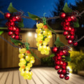 Red And Green Grape Summer Patio Light Set 5 Clusters 35 Lights