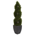 5 Double Pond Cypress Spiral Topiary Artificial Tree In Black Wash Planter Uv Resistant Indoor Outdoor
