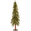 5 Foot Hickory Cedar Tree