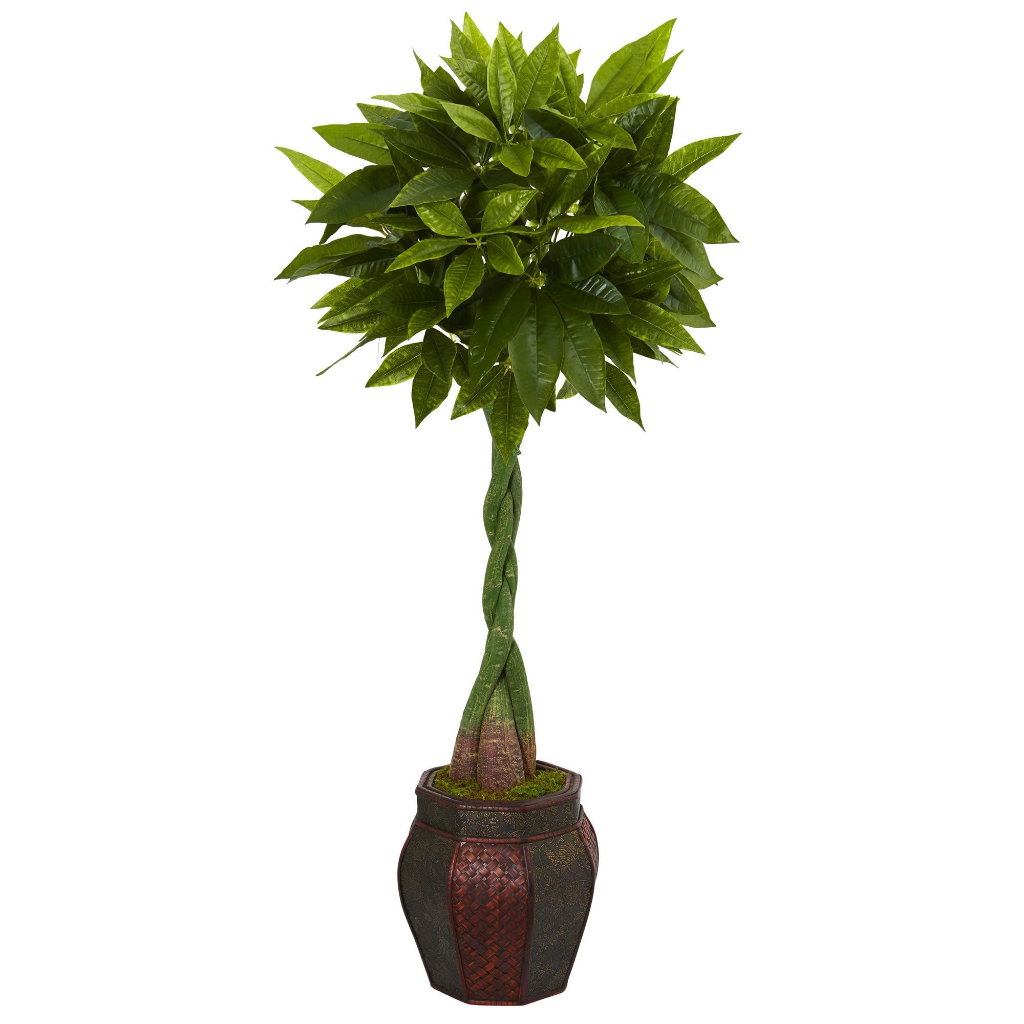 5 Money Artificial Tree In Decorative Planter