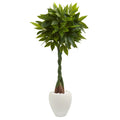 5 Money Artificial Tree In White Oval Planter Real Touch