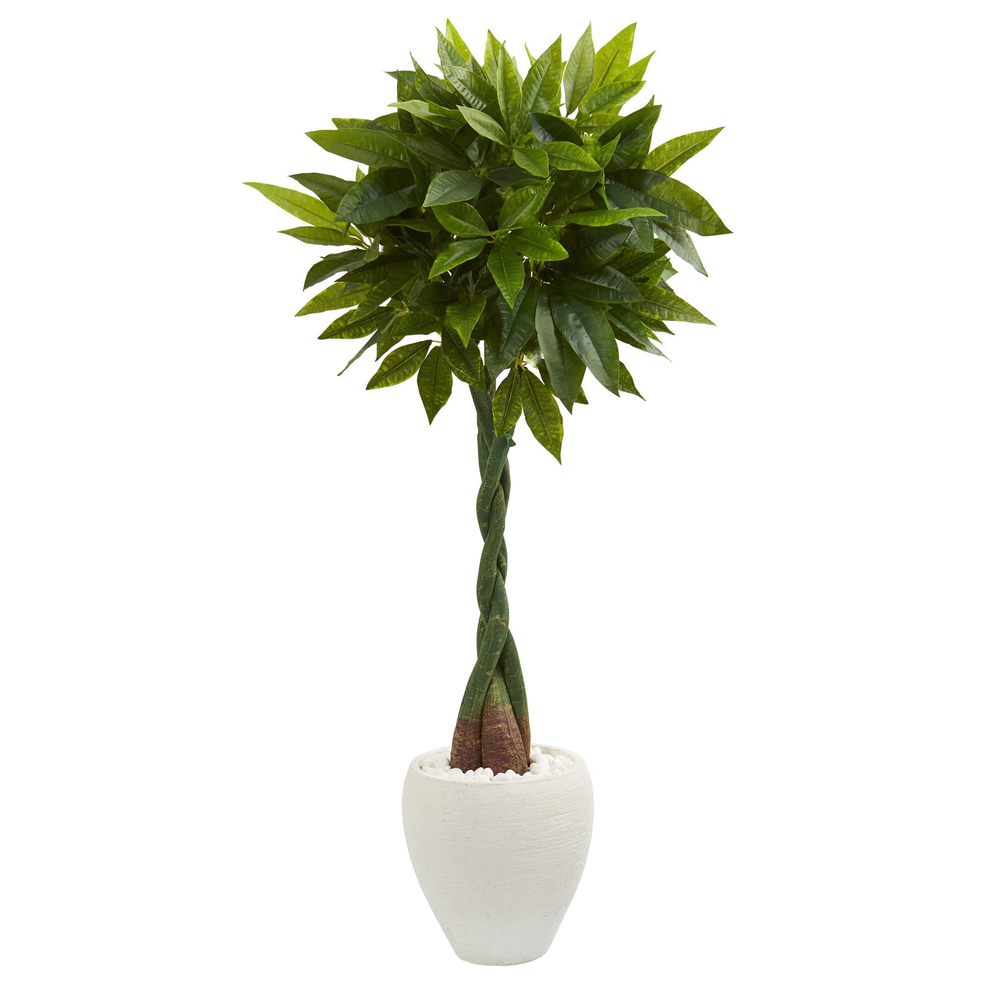 5 Money Artificial Tree In White Oval Planter Real Touch