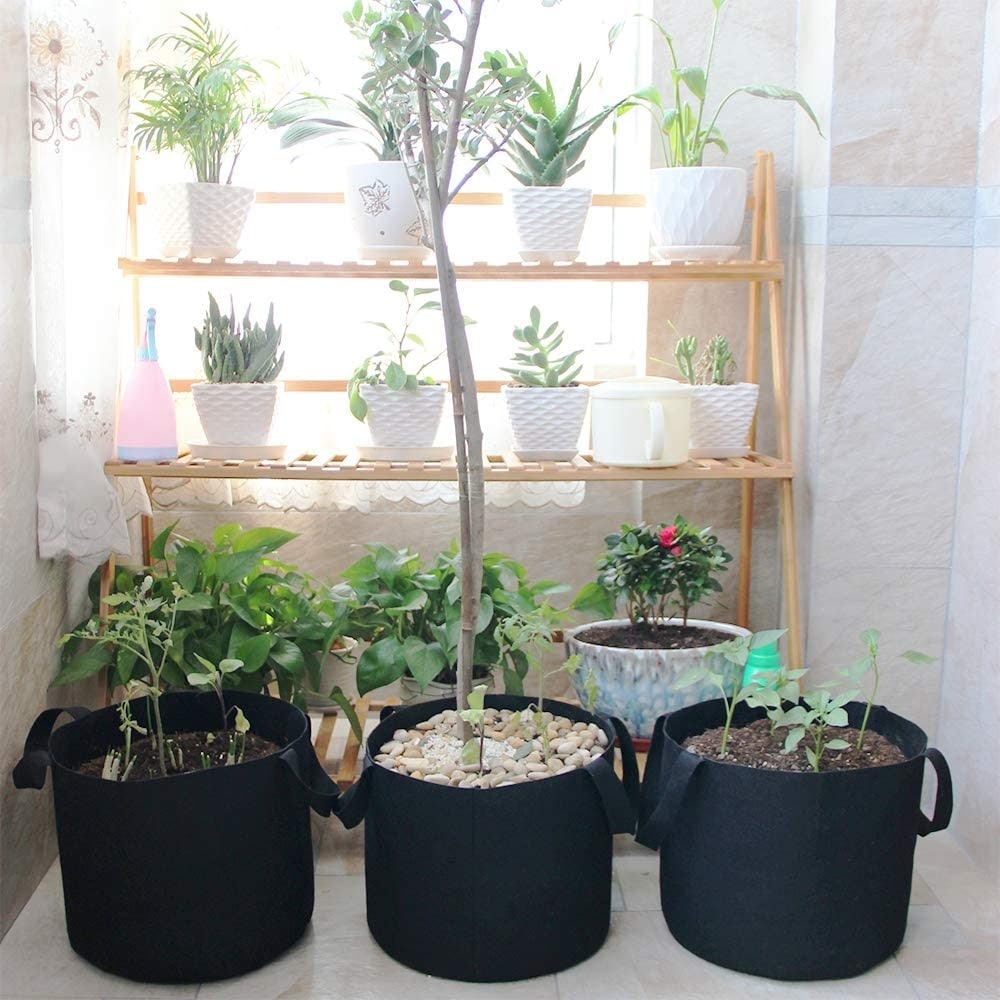 5 Pack Grow Bags Garden Non Woven Aeration Plant Fabric Pot Container