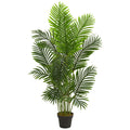 5 Paradise Palm Artificial Tree H 5 Ft. W 16 In. D 16 In