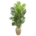 5 Paradise Palm Artificial Tree In Sand Colored Planter H 5 Ft. W 28 In. D 28 In