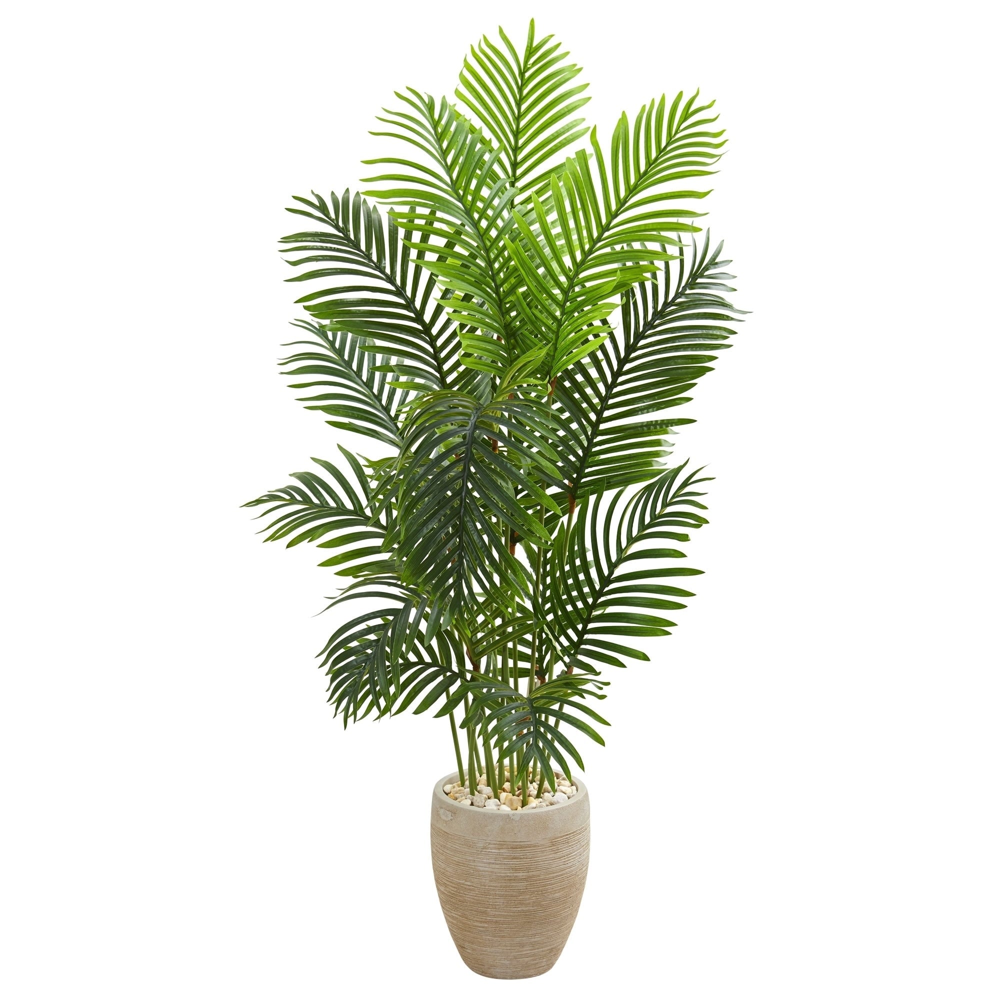 5 Paradise Palm Artificial Tree In Sand Colored Planter H 5 Ft. W 28 In. D 28 In