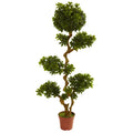 Pittispourm 5 Foot Uv Resistant Tree Indoor Outdoor Green