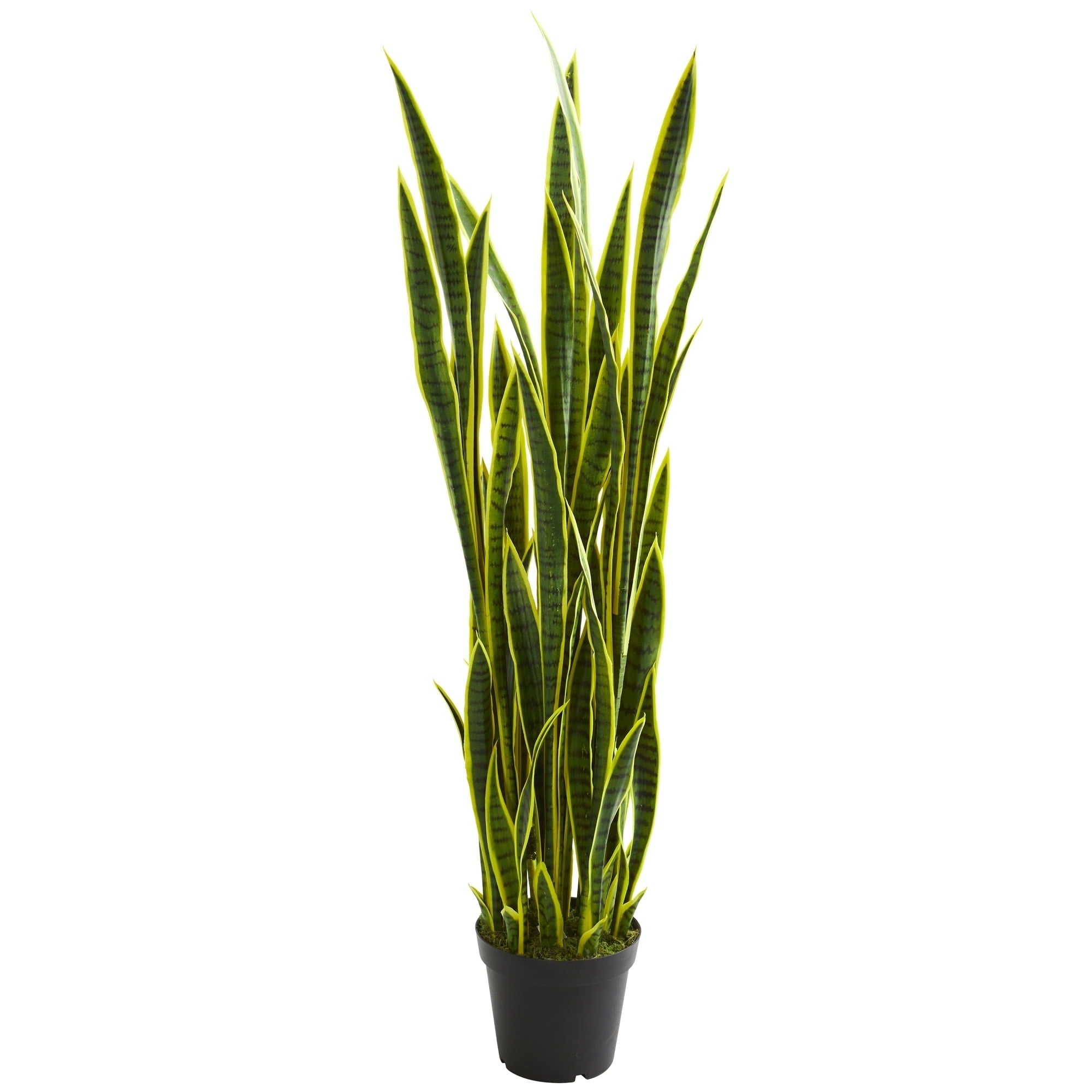 Nearly Natural 5 Foot Sansevieria Artificial Plant