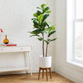 1.5 m Faux Fiddle Leaf Fig Tree & Tall Mid-Century Turned Wood Leg Planter Set