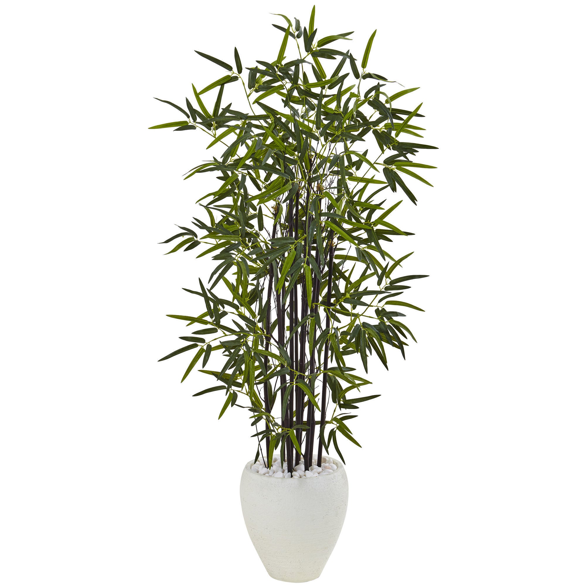 Black Bamboo 5 Foot Tree In White Oval Planter