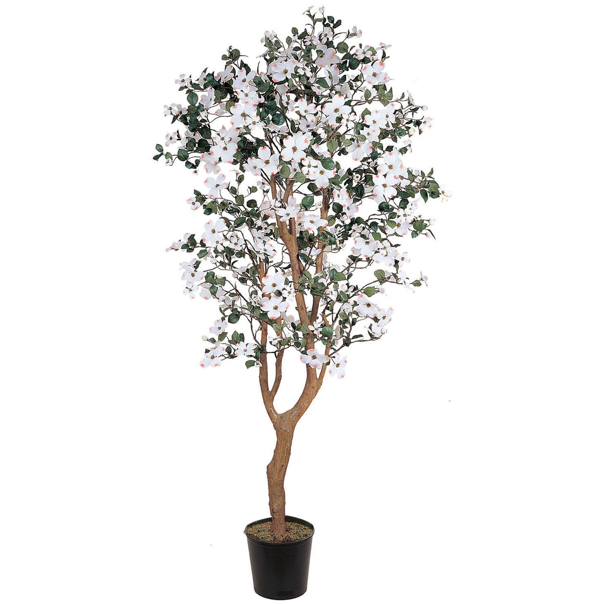 5 Foot Dogwood Silk Tree