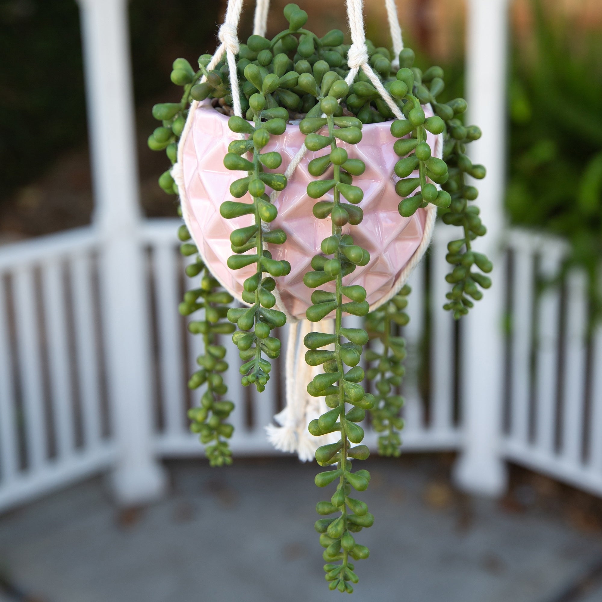5 X 5 Ceramic Macrame Hanging Planter Pot