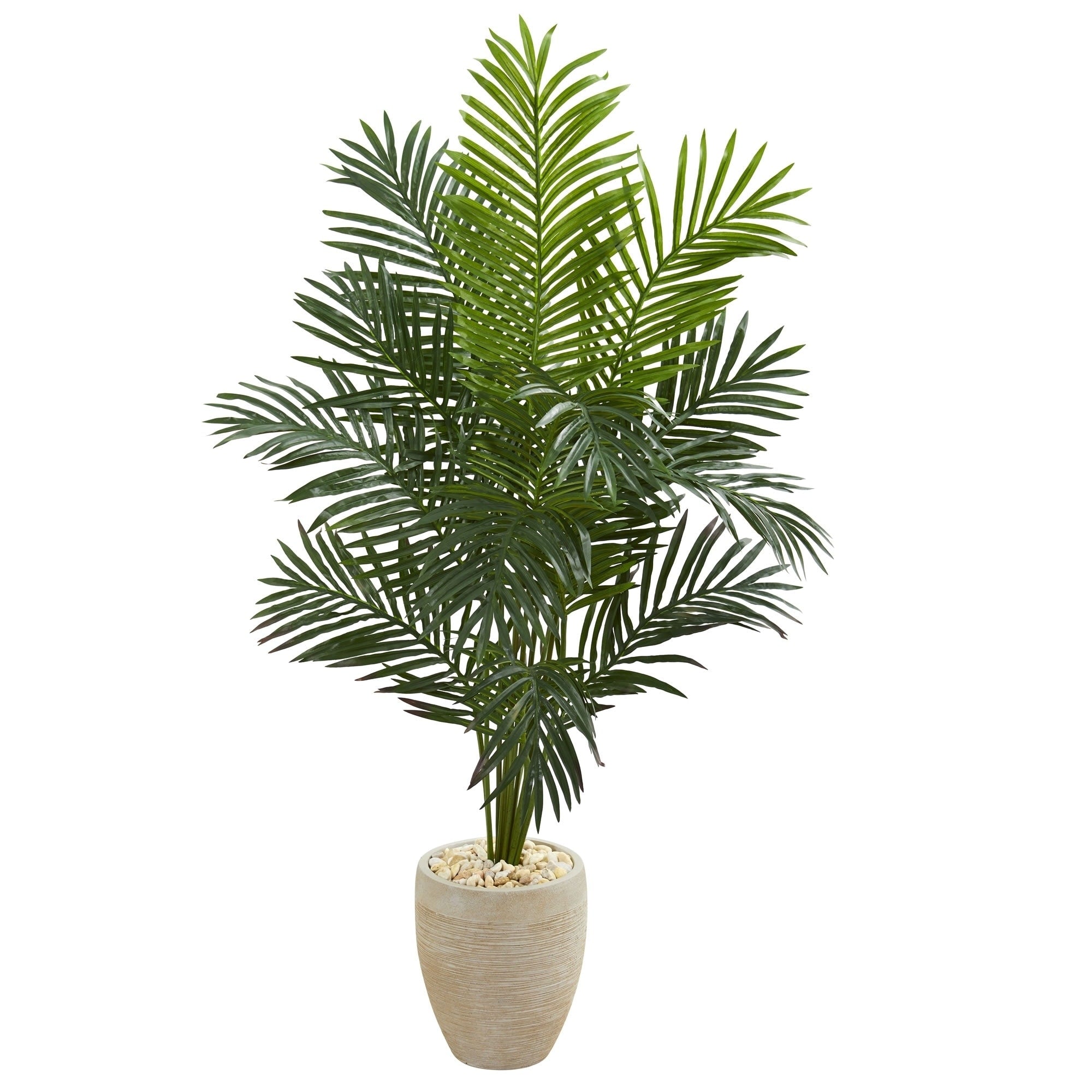 5.5 Paradise Artificial Palm Tree In Sand Colored Planter H 5.5 Ft. W 38 In. D 26 In