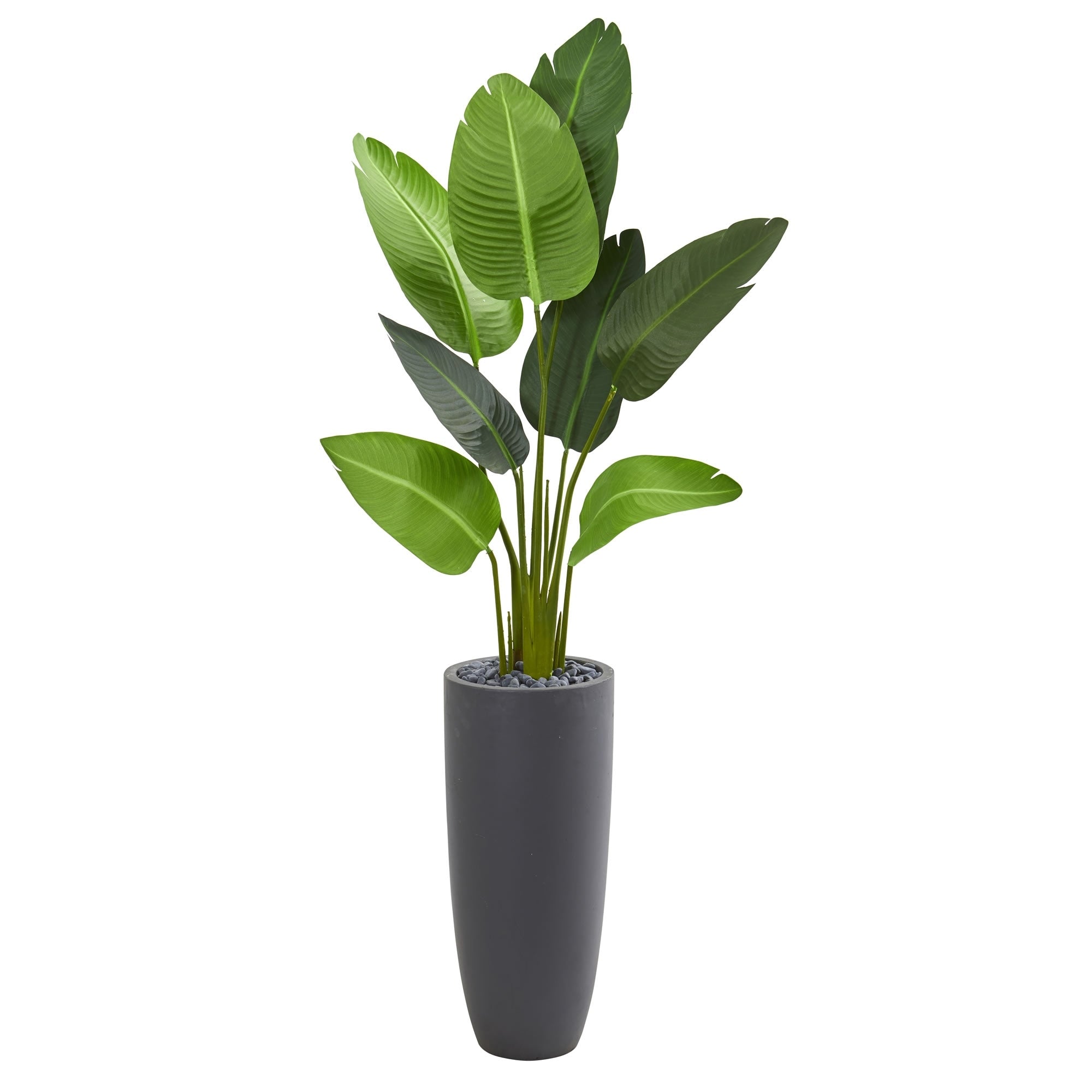 5.5 Travelers Palm Artificial Tree In Gray Planter H 5.5 Ft. W 28 In. D 22 In