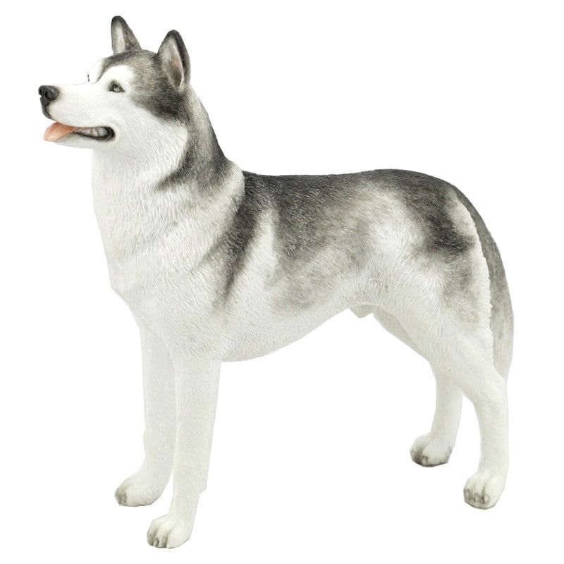 5.71 In L Siberian Husky Figurine Poly Resin