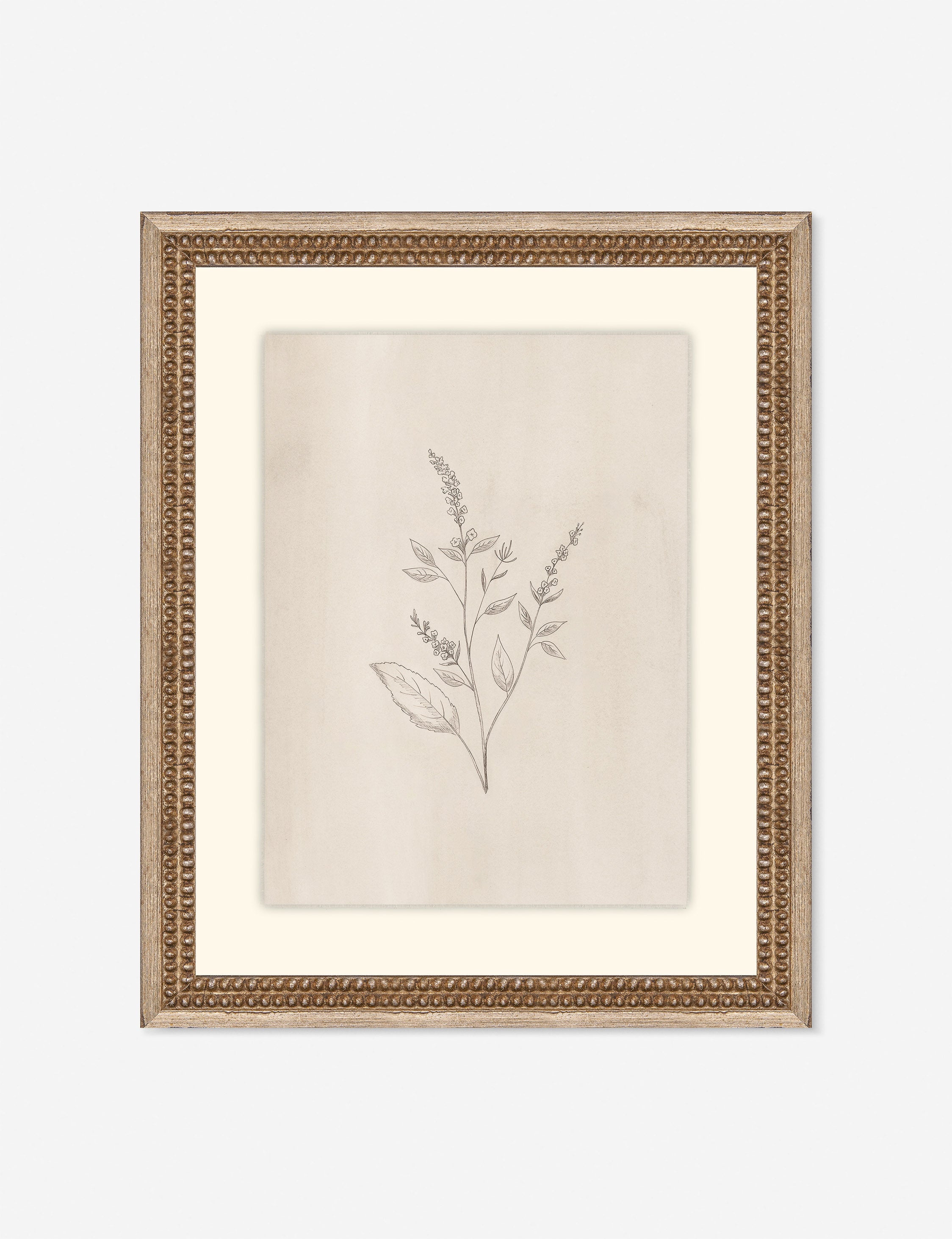 Elegant Botanical VI Wall Art by Makai Howell