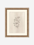 Elegant Botanical VII Wall Art by Makai Howell