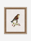 Small Birds I Wall Art by Old World
