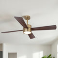 52 Modern Gold Integrated Led Dimmable Reversible Smart Ceiling Fan With Rgb Light Remote And App Control