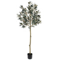 56 Potted Olive Leaf Topiary