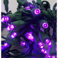 5Mm Purple