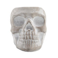 5X3.2 Cement Sugar Skull Planter Grey