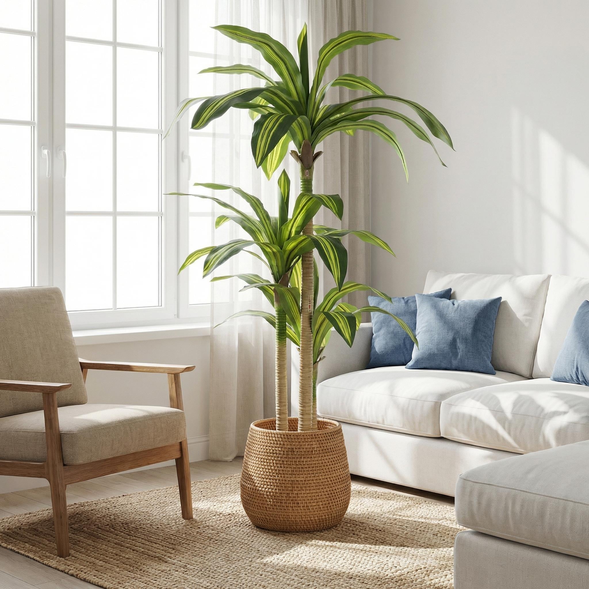 5 Artificial Dracaena Tree With Black Plastic Pot 1Pc Set