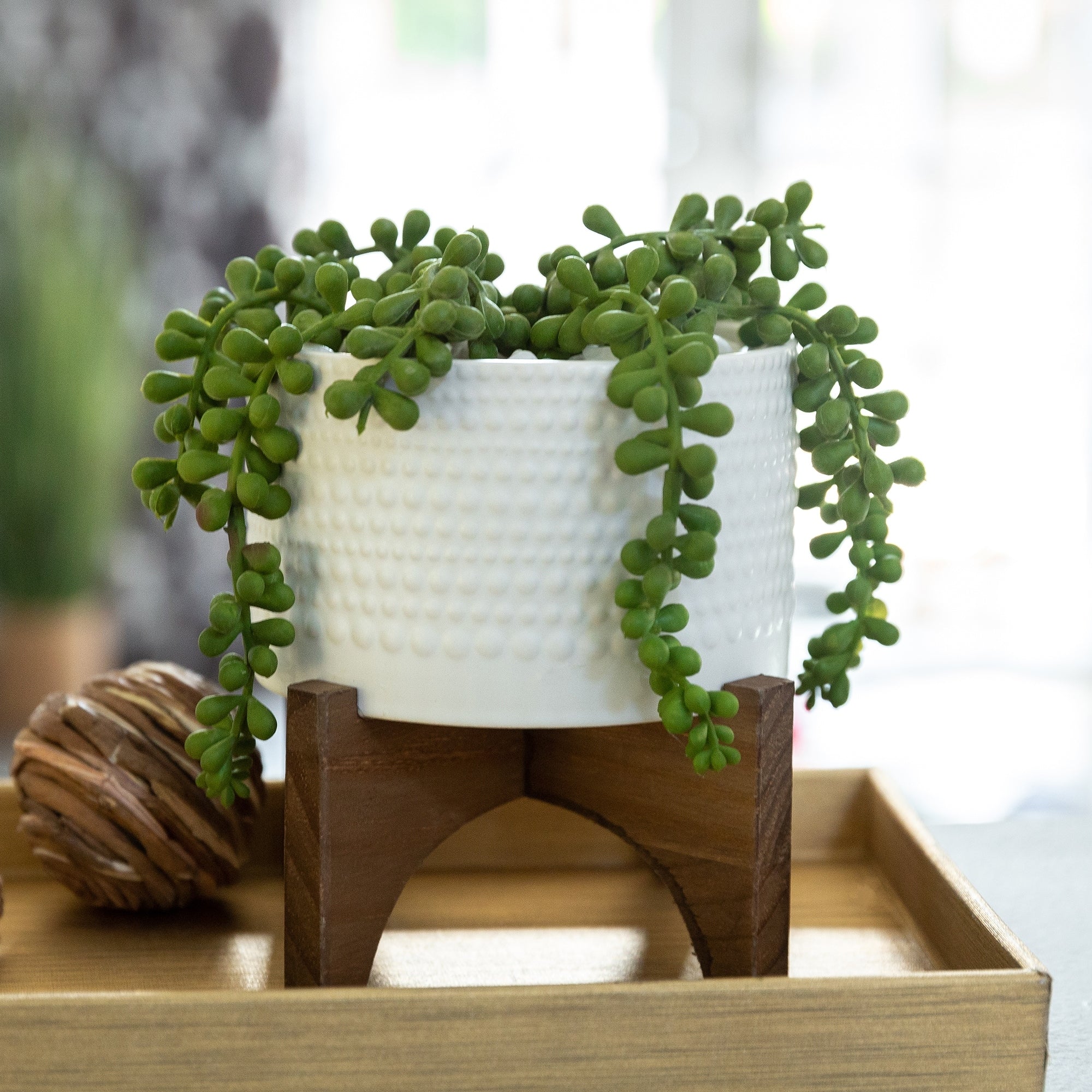 5 Hobnail Ceramic Planter On Wood Stand