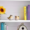 5 Resin Garden Bird With Glasses Set Of 2