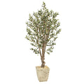 5 Olive Artificial Tree In Country White Planter