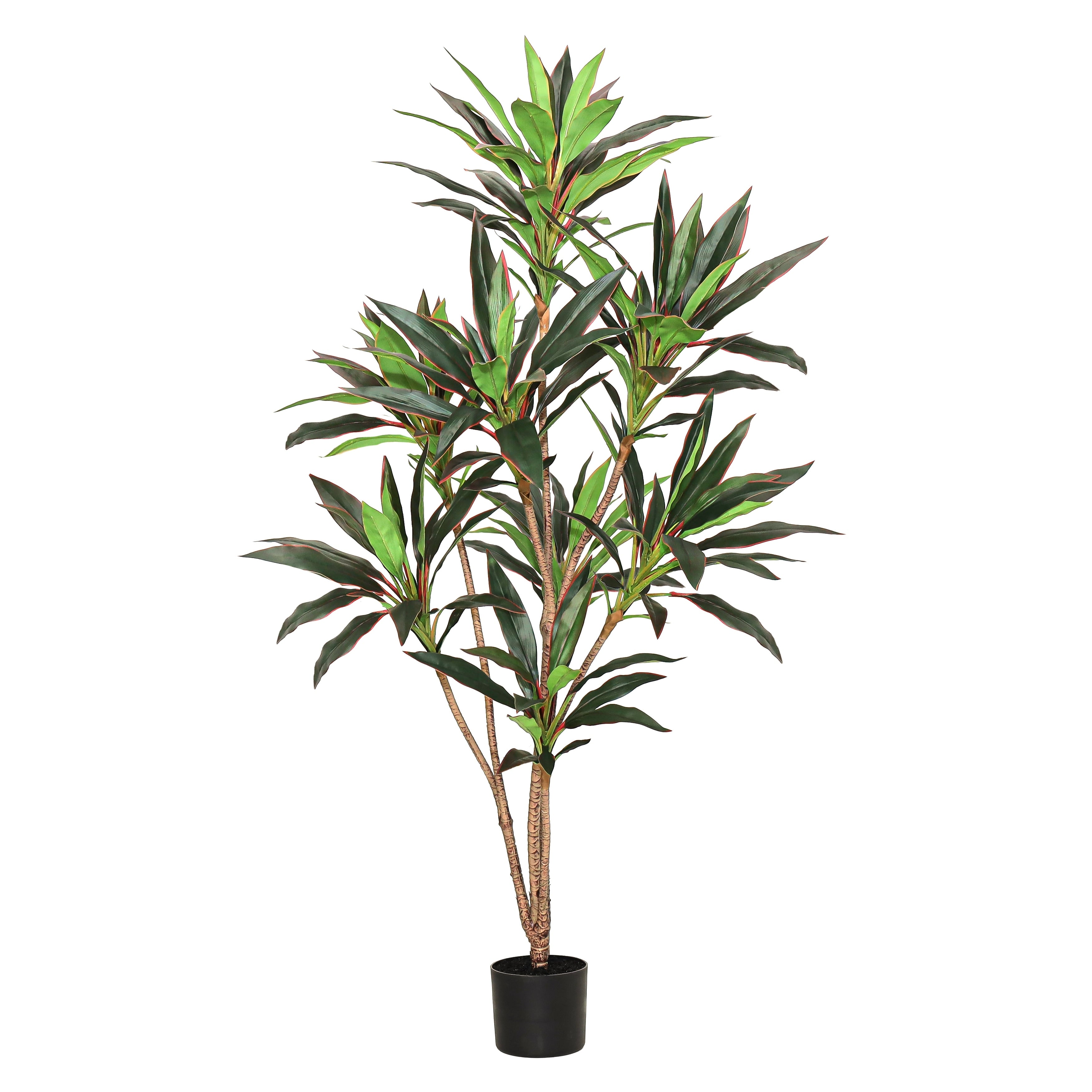 5Ft Real Touch Green Red Dracaena Tree Plant In Black Pot 60 H X 30 W X 30 Dp