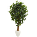 6 Ficus Artificial Tree In White Planter H 6 Ft. W 37 In. D 30 In